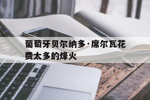 九游体育官方入口-葡萄牙贝尔纳多·席尔瓦花费太多的烽火的简单介绍