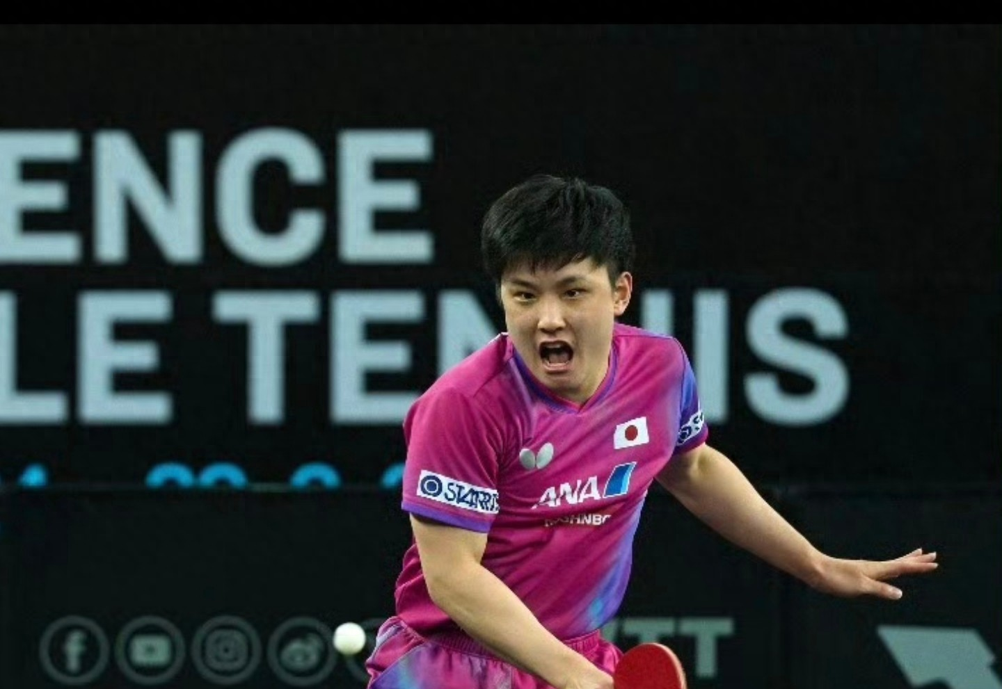 九游娱乐首页-中国乒乓球队碾压瑞典乒乓球队,张本智和高光表现的简单介绍