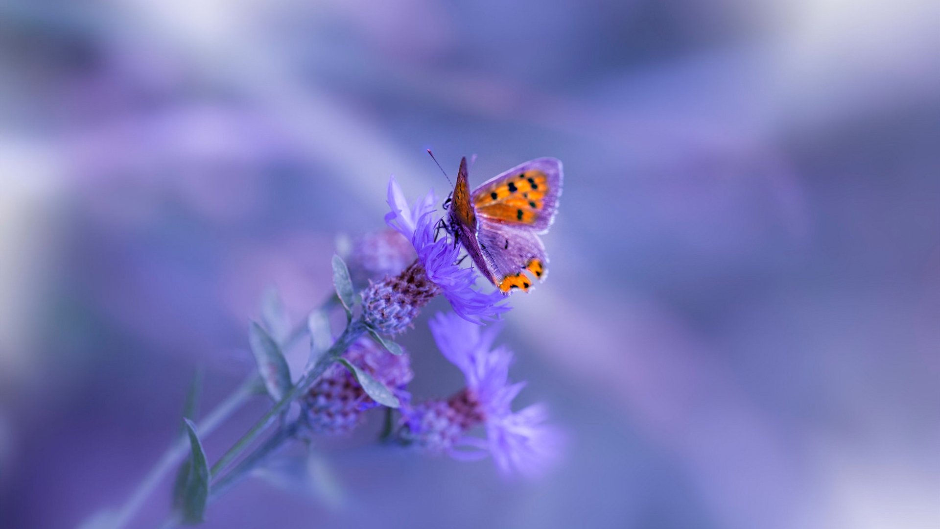 九游游戏-欧冠淘汰赛之夜，哈登稳定输出不掉线，巨星的舞台，是对稳态最极致的崇拜