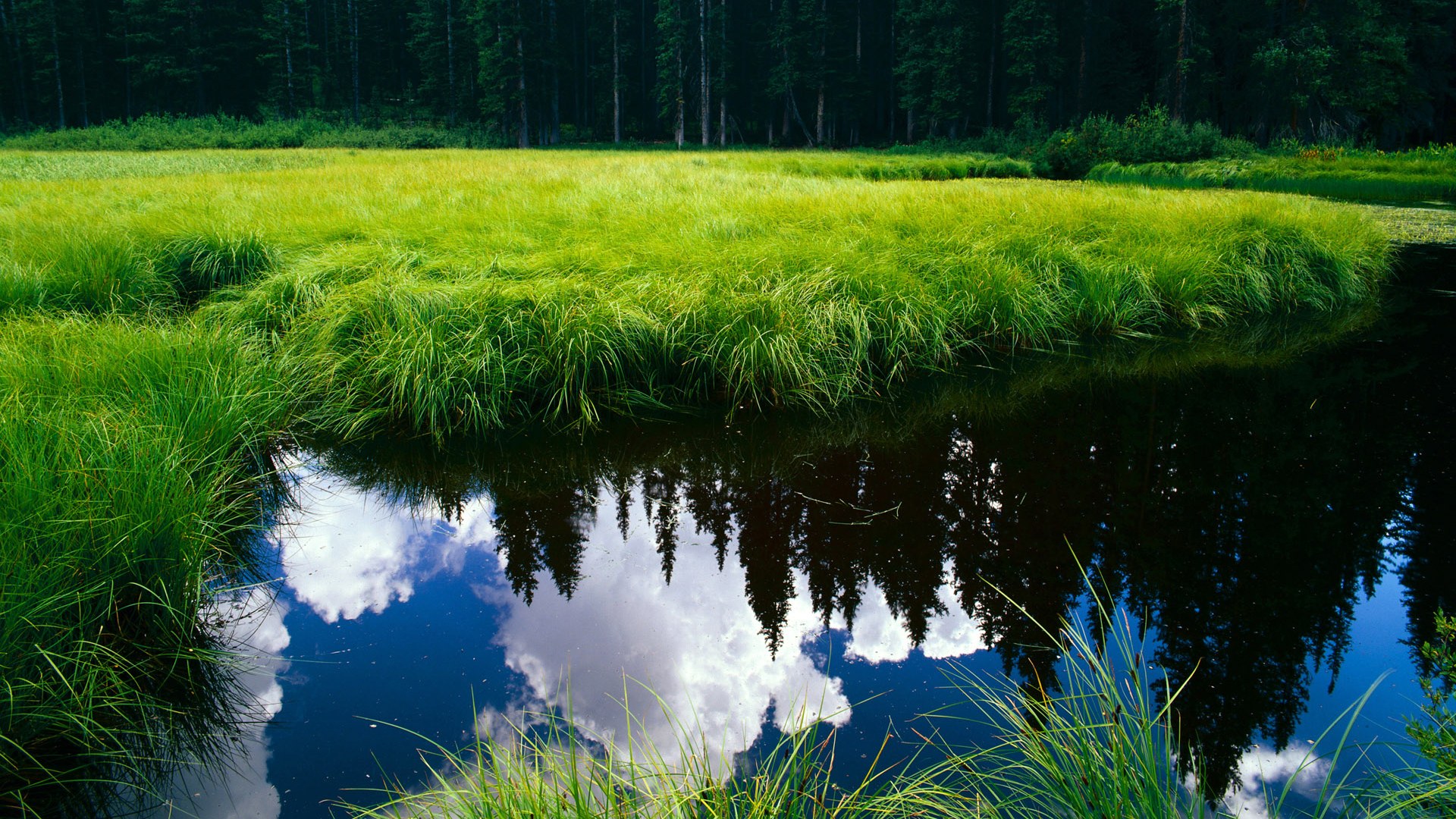 9you娱乐-卡塔尔正面击溃奥地利，梅西关键战不手软，绿茵场上的双重震撼