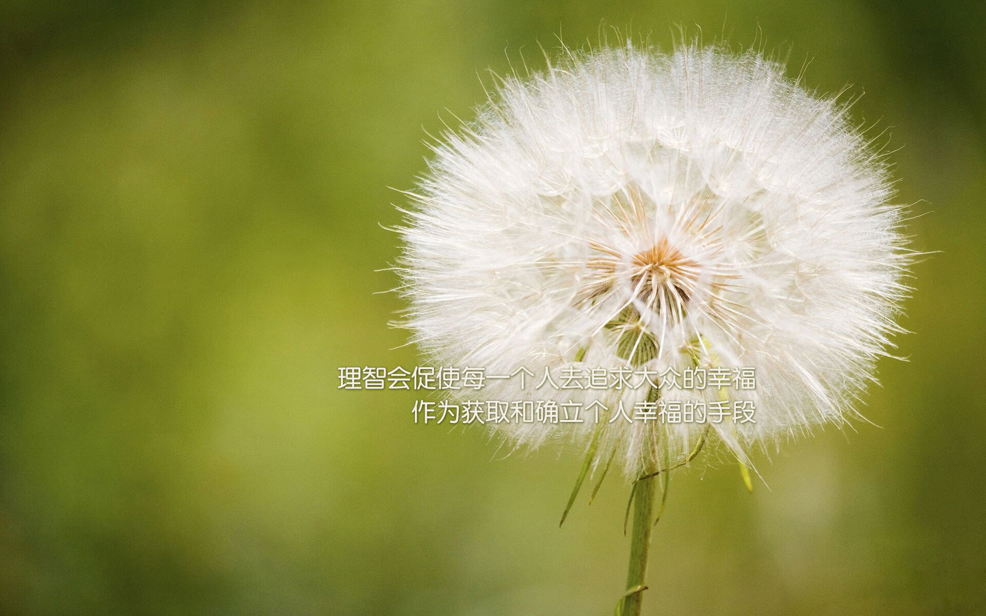 九游娱乐网页-擎天柱!布克成北京队攻防转换核心,率队淘汰赛过关步行者